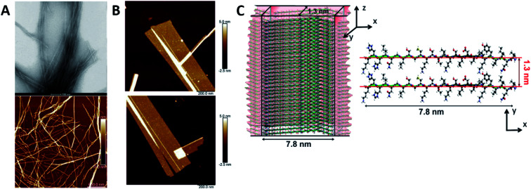 Fig. 3