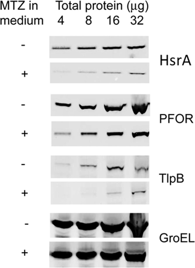 FIG 7