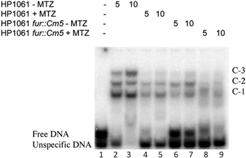 FIG 5