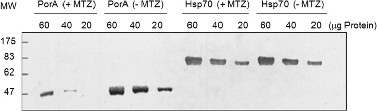 FIG 2