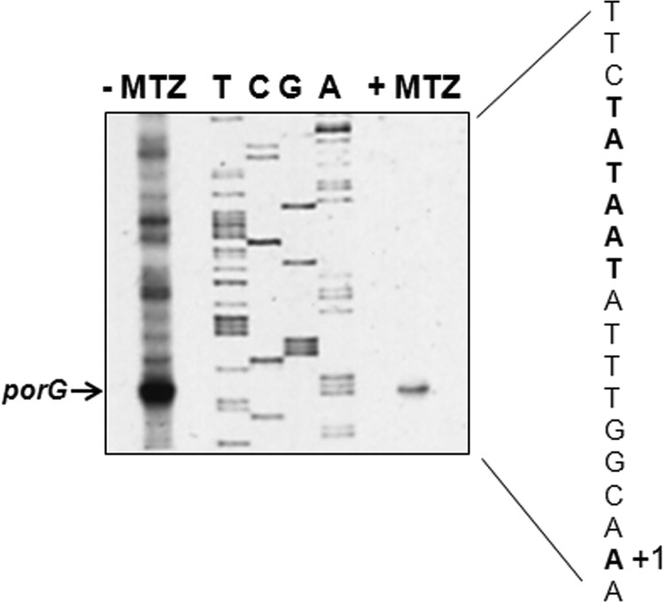 FIG 3