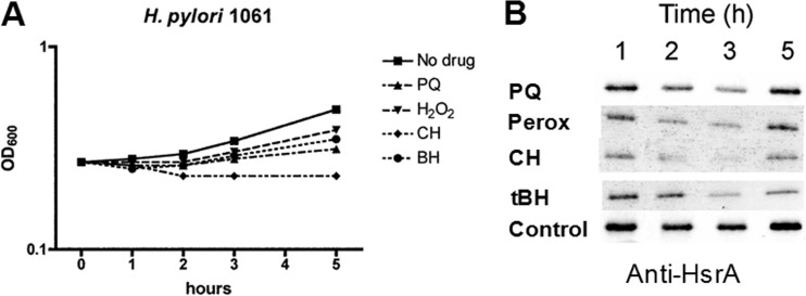 FIG 9