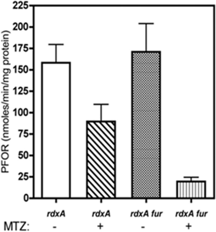 FIG 4