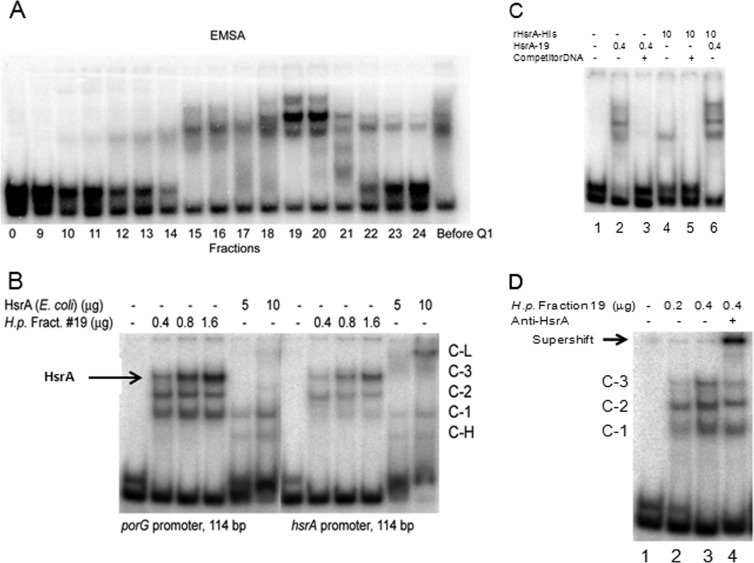 FIG 6