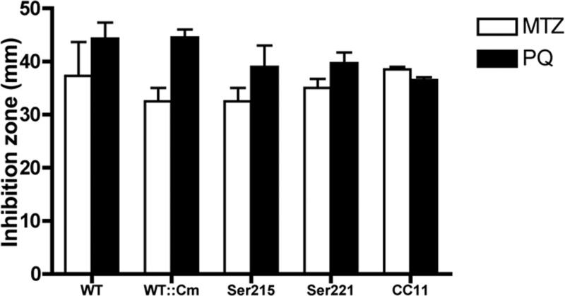 FIG 10