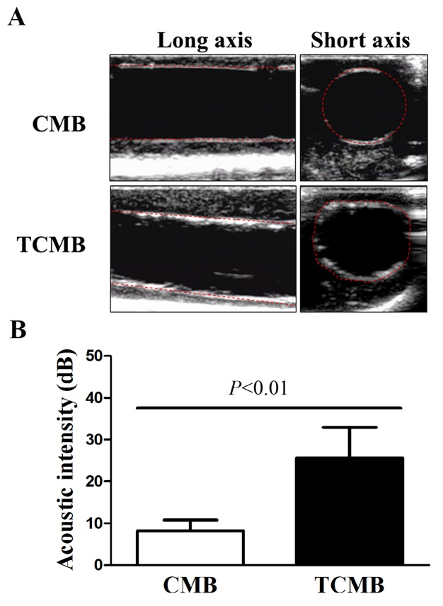 Figure 3.