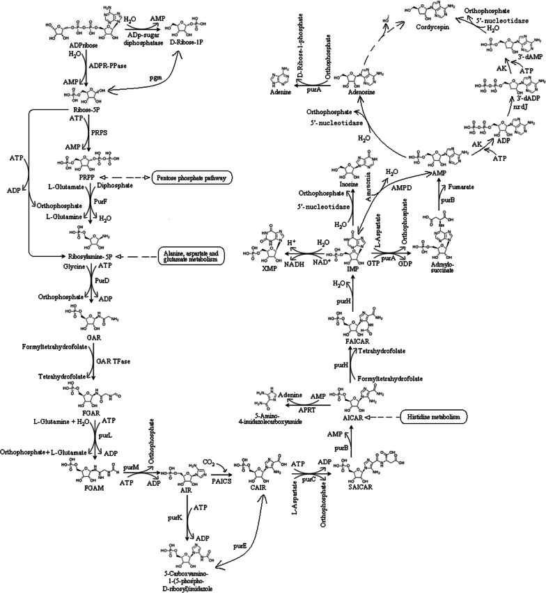 Fig. 9