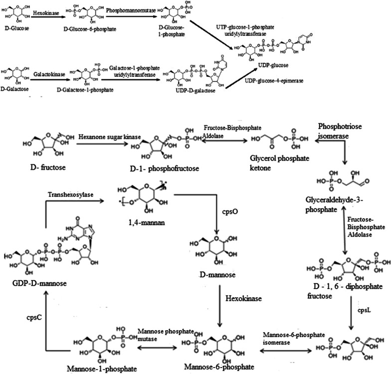 Fig. 11