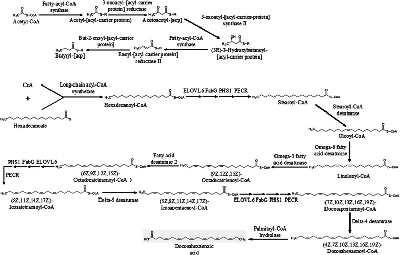 Fig. 10