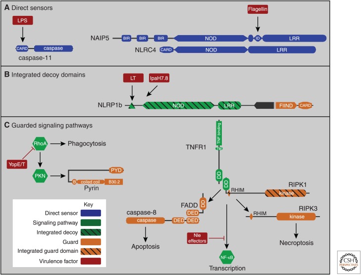 Figure 1.