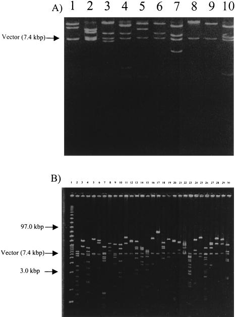 FIG. 5