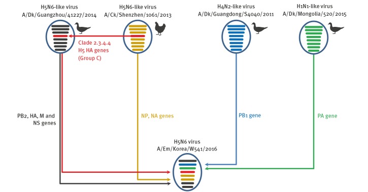 Figure 9