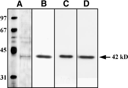 Figure 9.