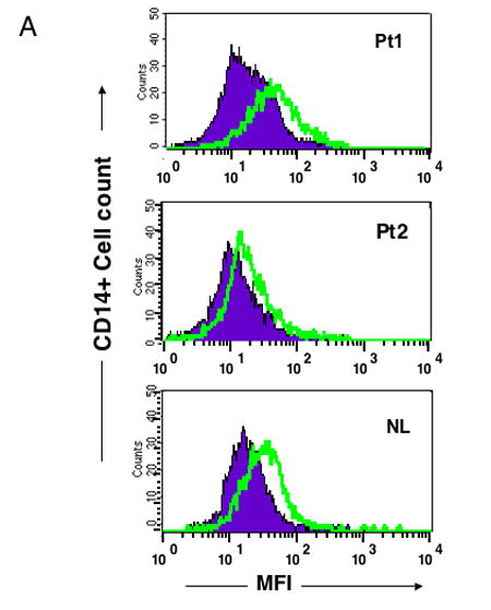 Figure 2a