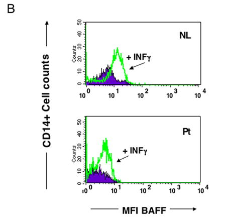 Figure 2b