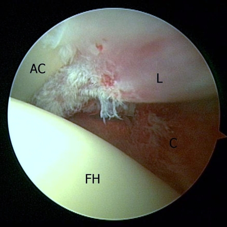 Fig. 2