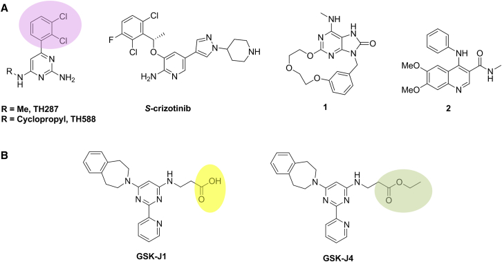 Figure 3