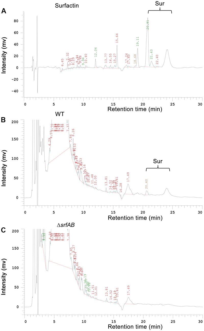 FIGURE 3