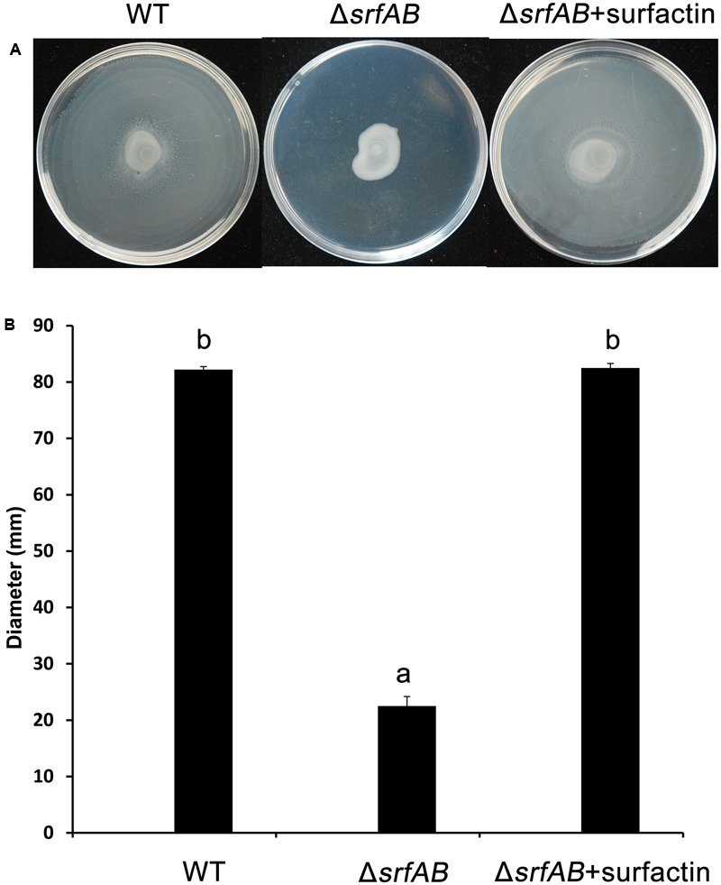 FIGURE 11