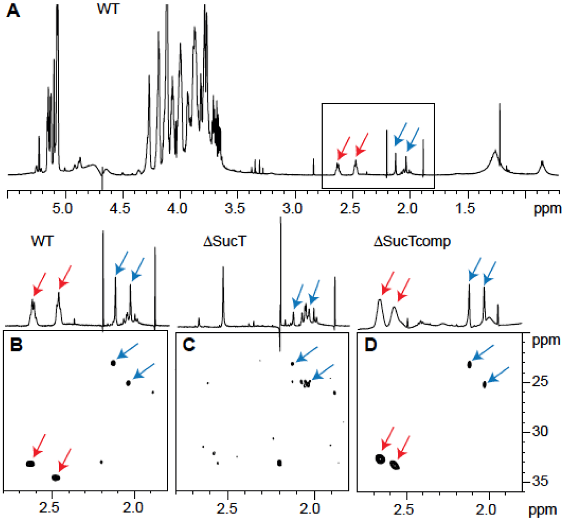 Figure 6: