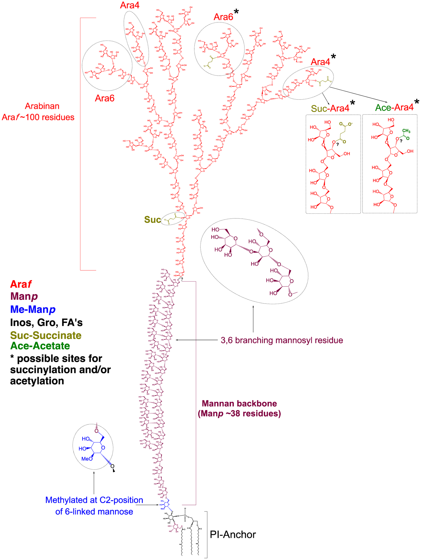 Figure 7: