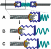 Figure 7.