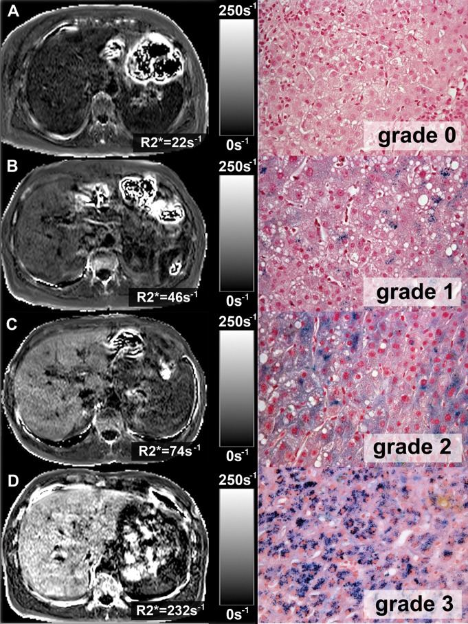 Figure 3: