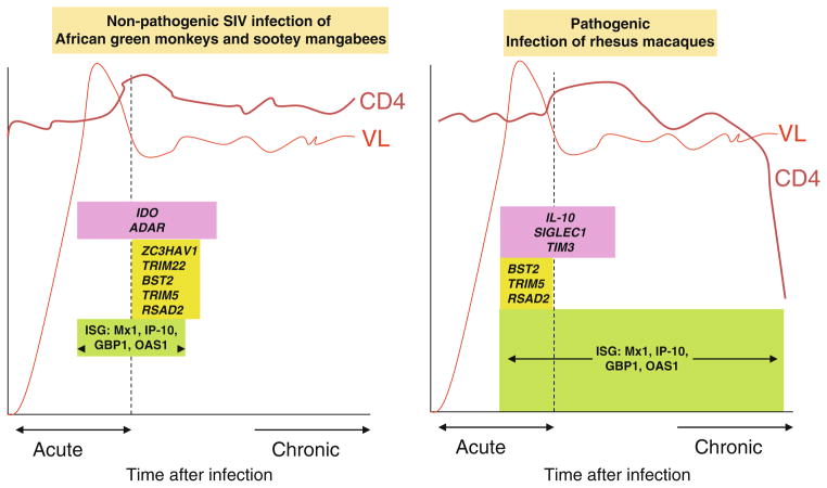 Fig. 3.2