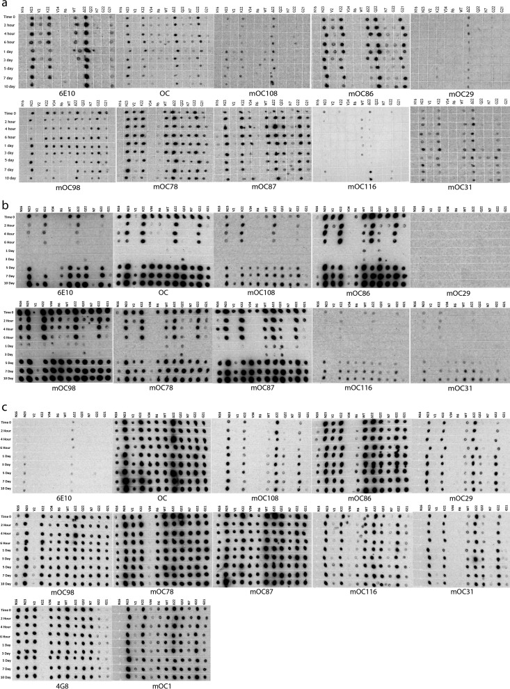 FIGURE 4.