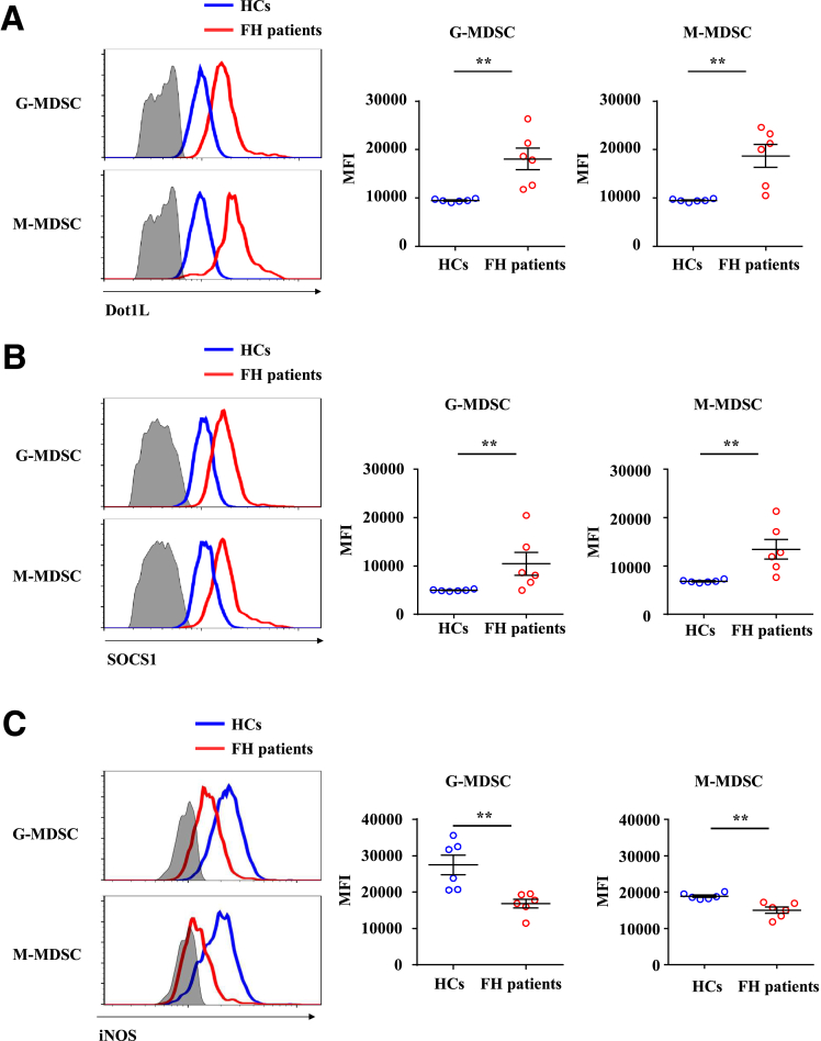 Figure 10