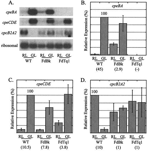 FIG. 5.