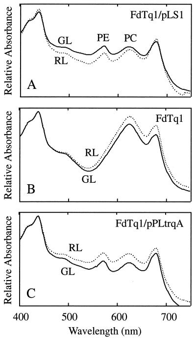 FIG. 2.