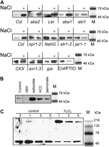 Figure 9.