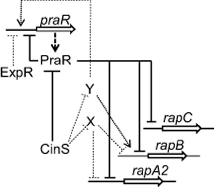 Fig. 9