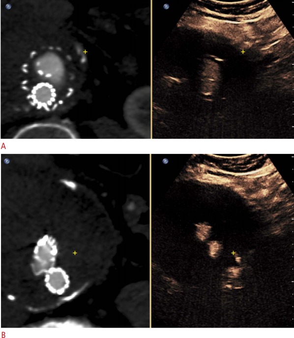 Fig. 9.