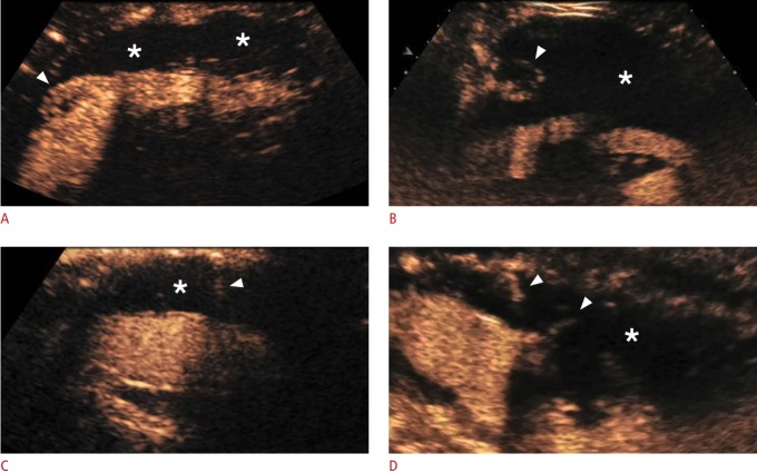 Fig. 8.