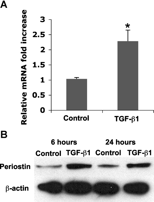 Fig. 6