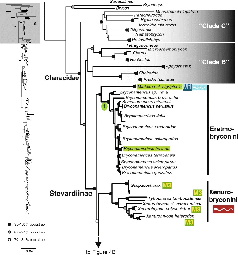 Fig. 4