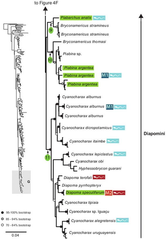 Fig. 10