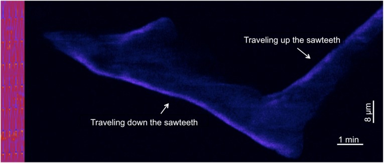 Fig. S4.