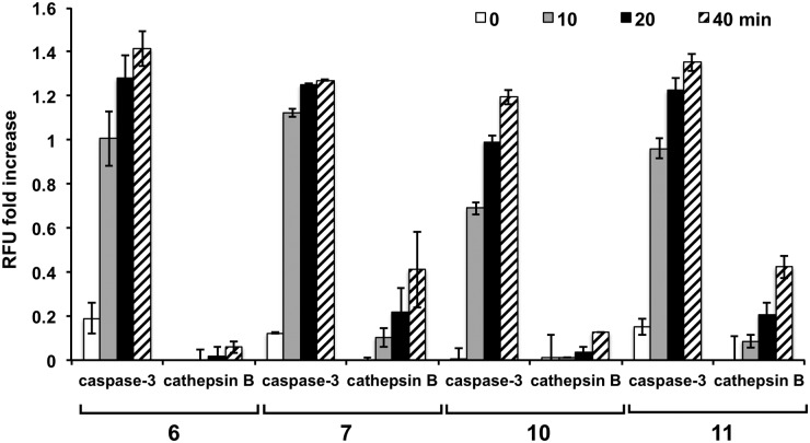 Fig. 3