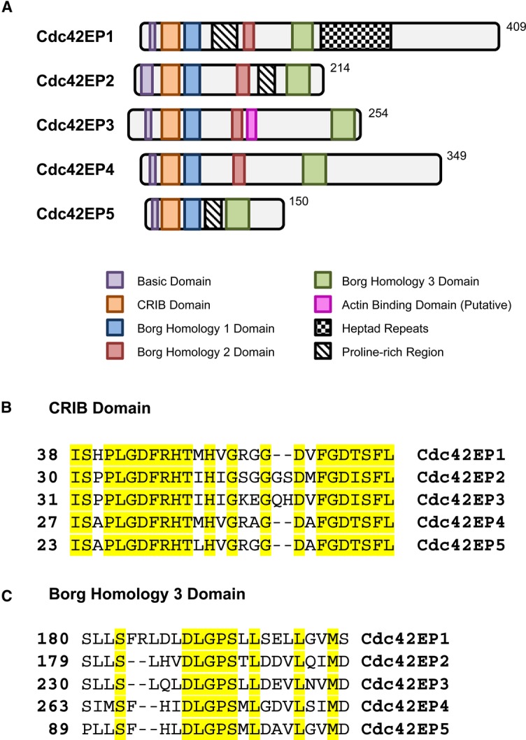 Figure 1.