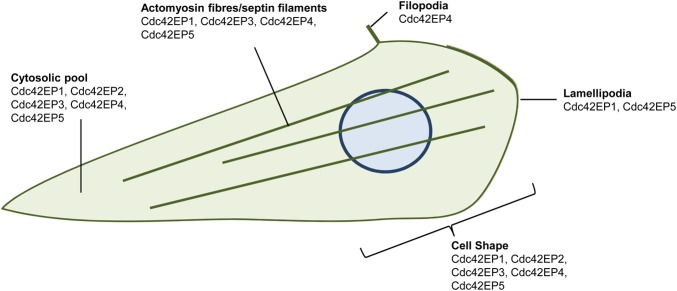 Figure 2.