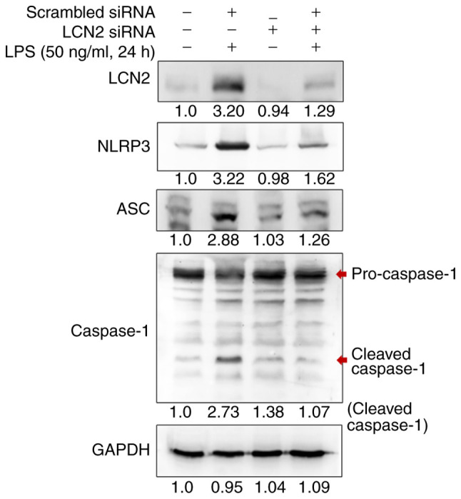 Figure 4.