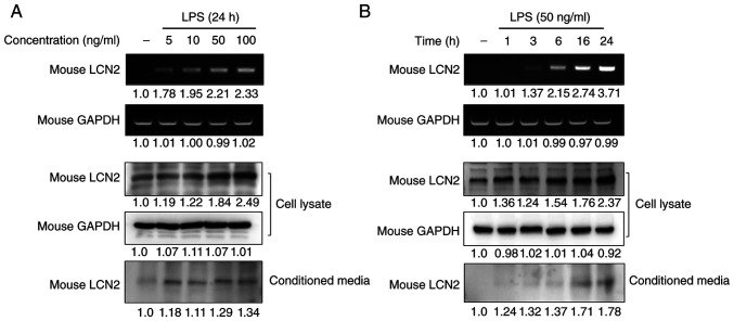 Figure 2.