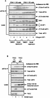 FIG. 5.