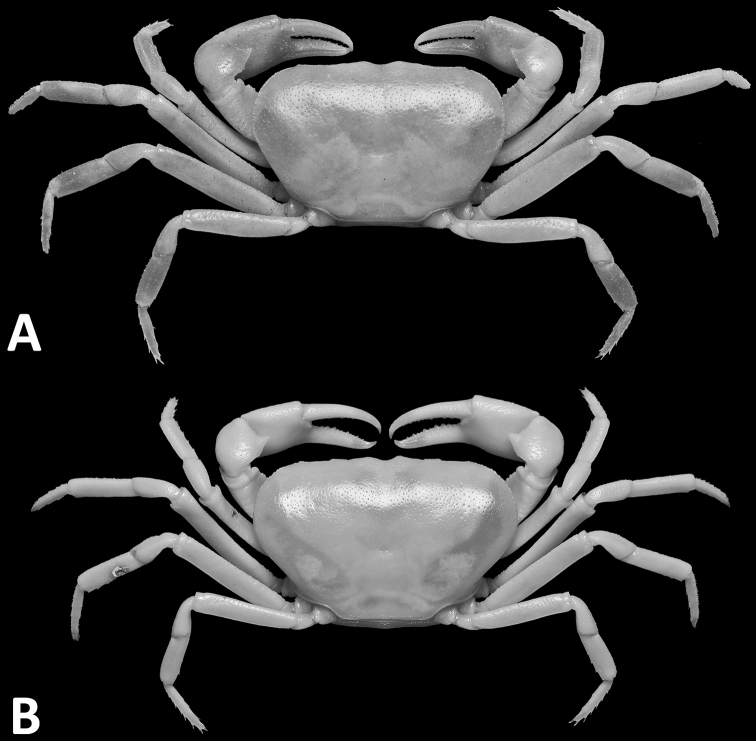 Figure 1.