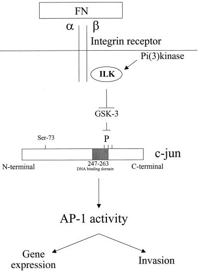 FIG. 5