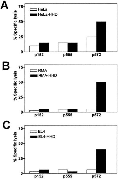 Fig 1.