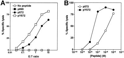 Fig 2.